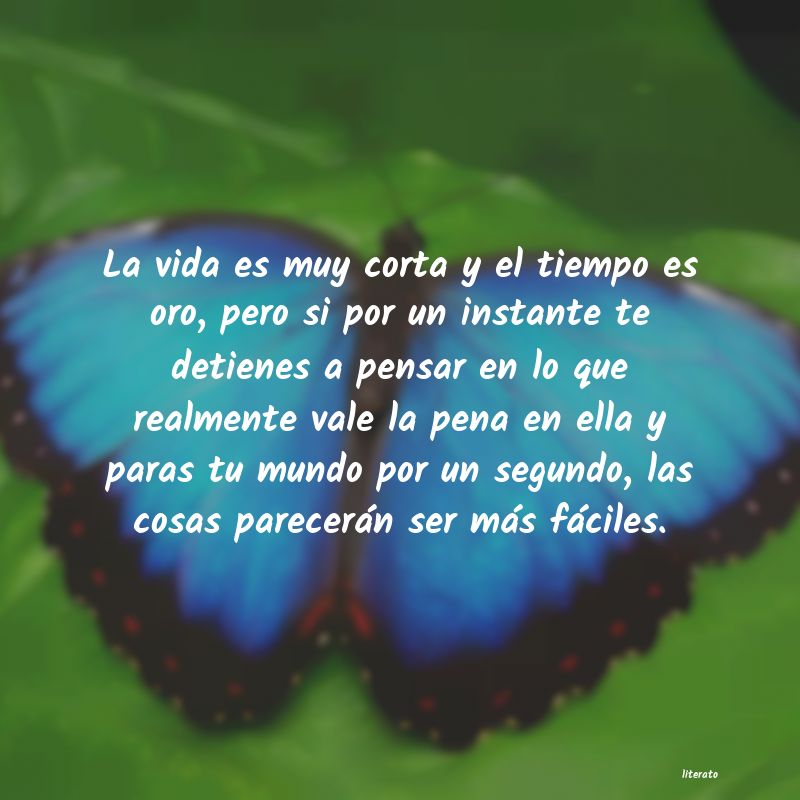 frases de disfrutar la vida