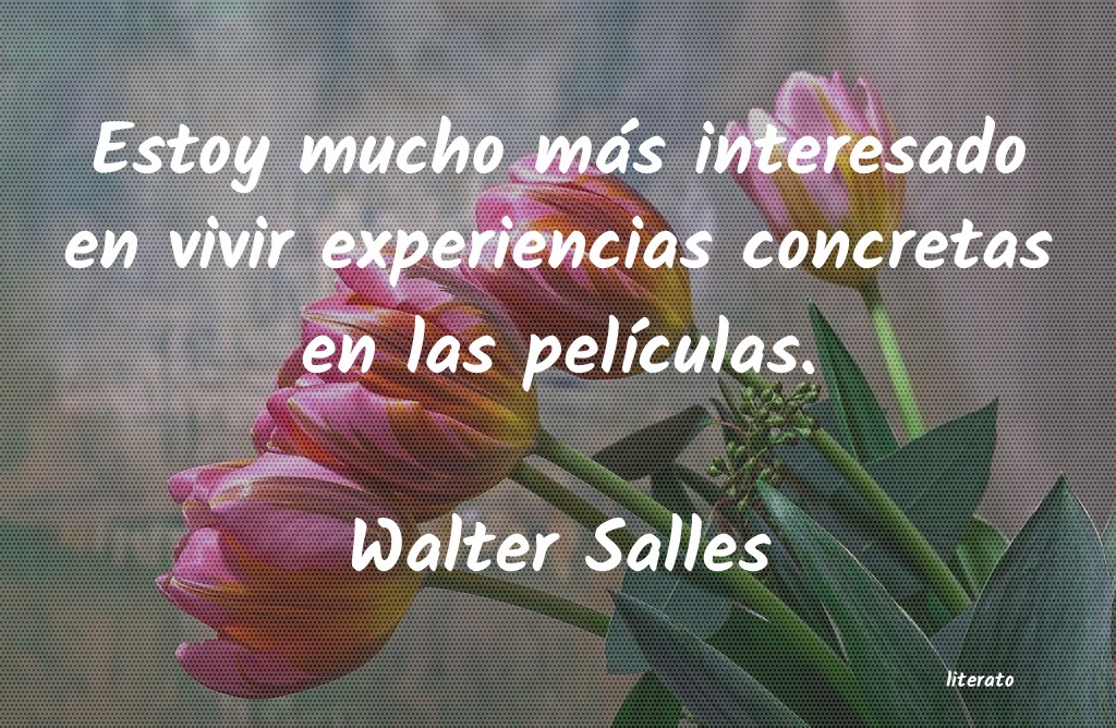 frases de Walter Salles