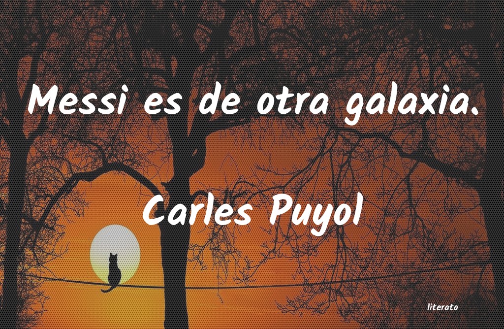 frases de Carles Puyol
