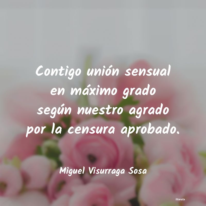 Frases de Miguel Visurraga Sosa