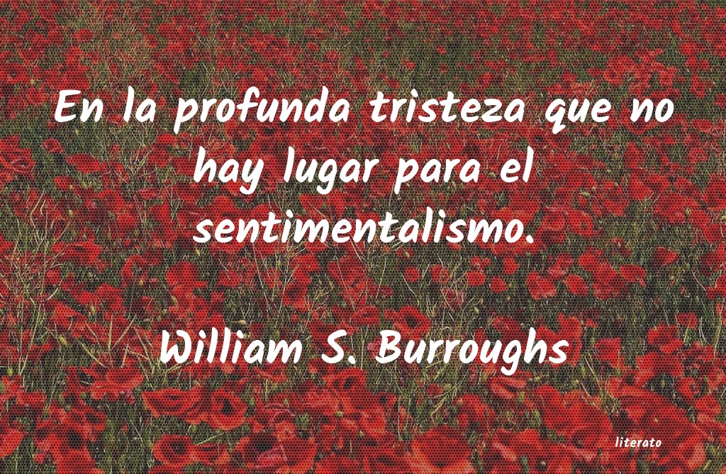 Frases de William S. Burroughs