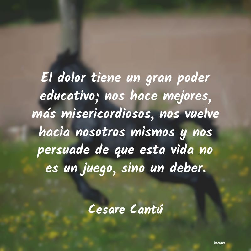 Frases de Cesare Cantú