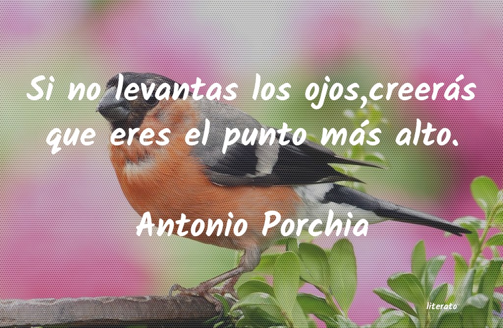 Frases de Antonio Porchia