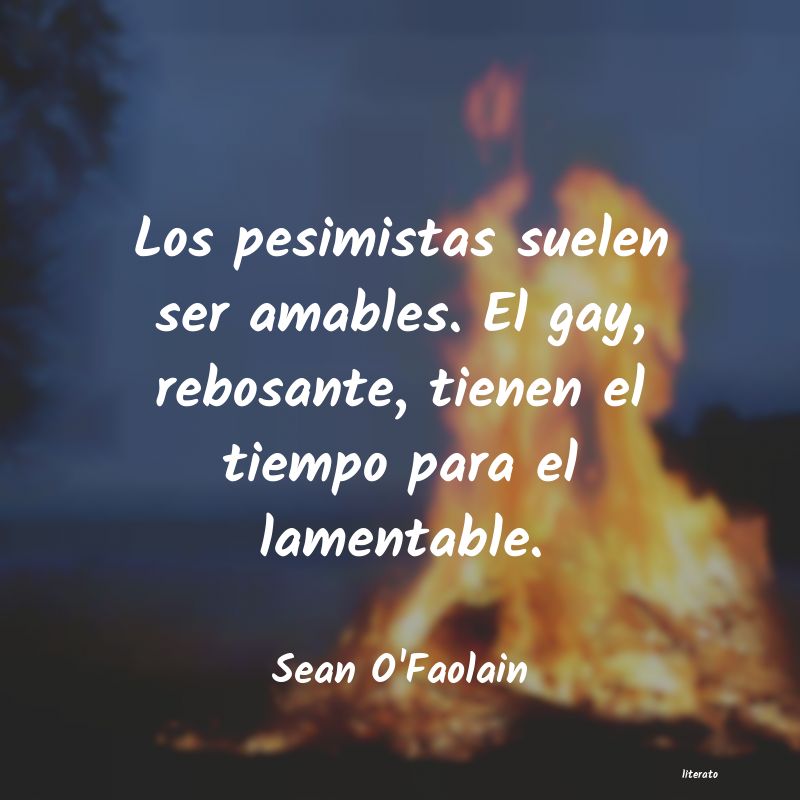 Frases de Sean O'Faolain