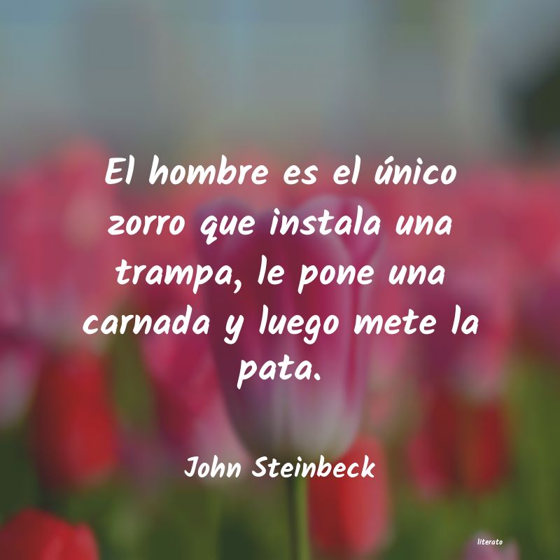 Frases de John Steinbeck