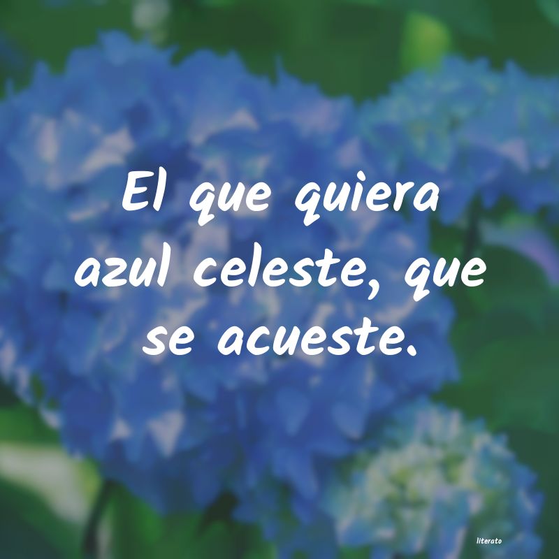 frases