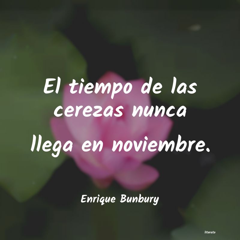 Frases de Enrique Bunbury