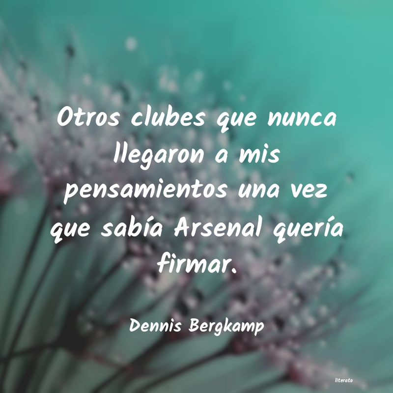 frases de Dennis Bergkamp