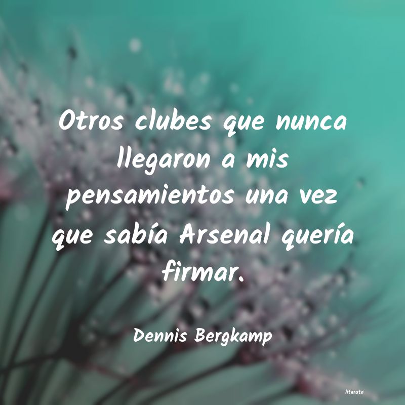 Frases de Dennis Bergkamp