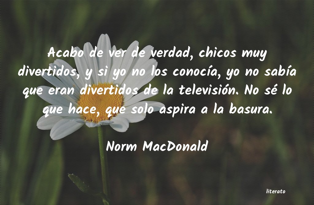 Frases de Norm MacDonald