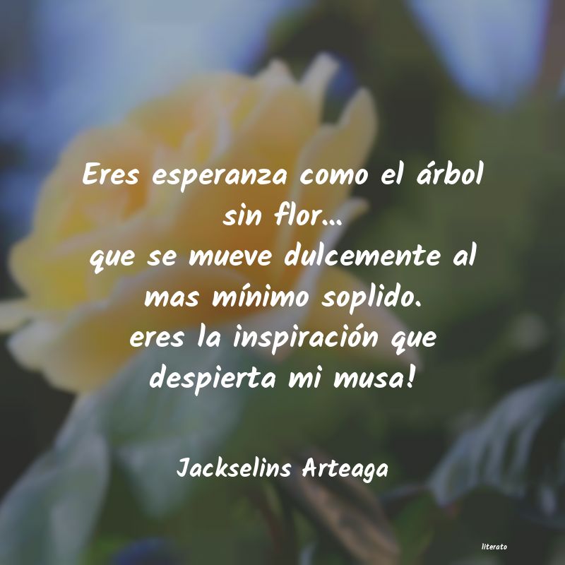 Frases de Jackselins Arteaga