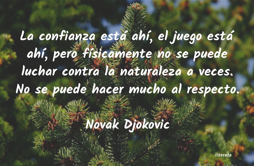 Frases de Novak Djokovic