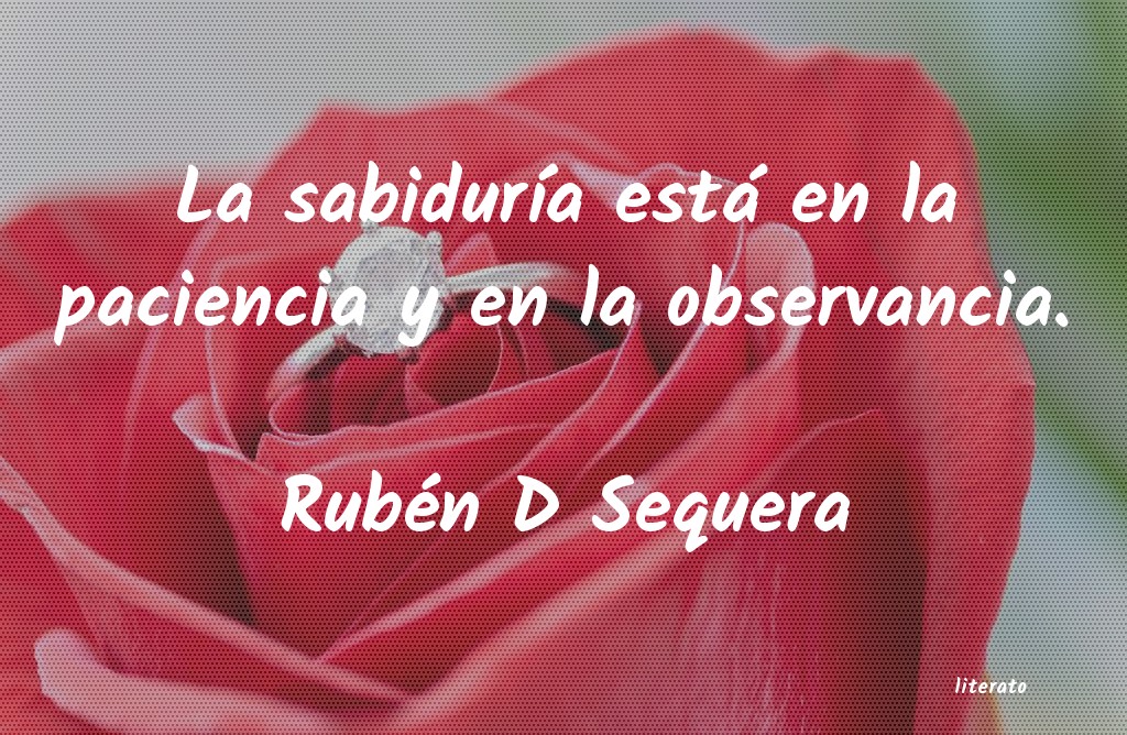 frases de Rubén D Sequera