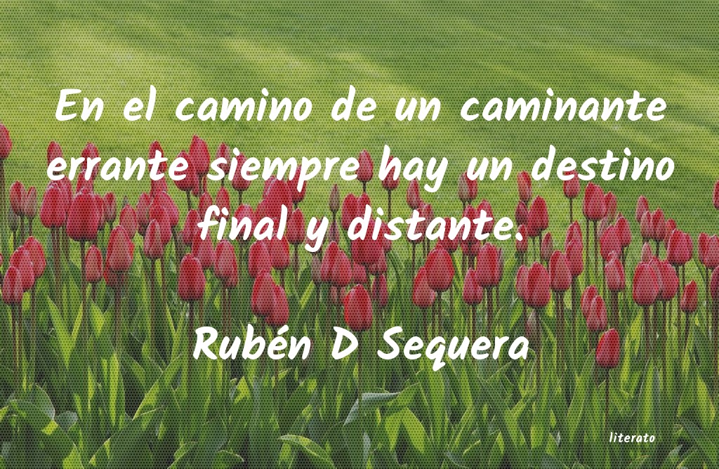 frases de Rubén D Sequera