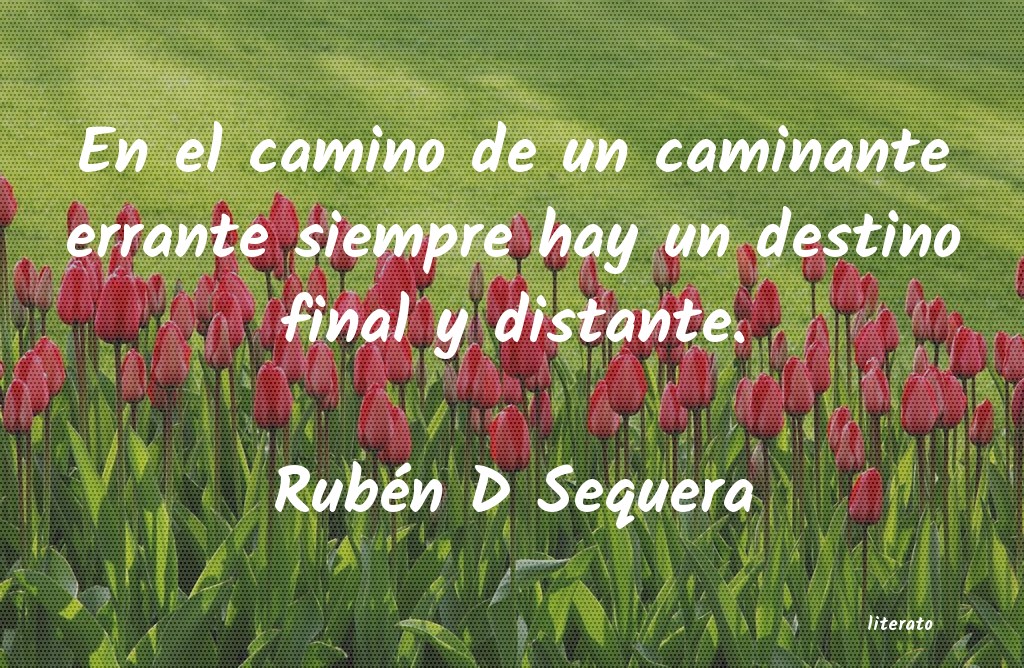 Frases de Rubén D Sequera