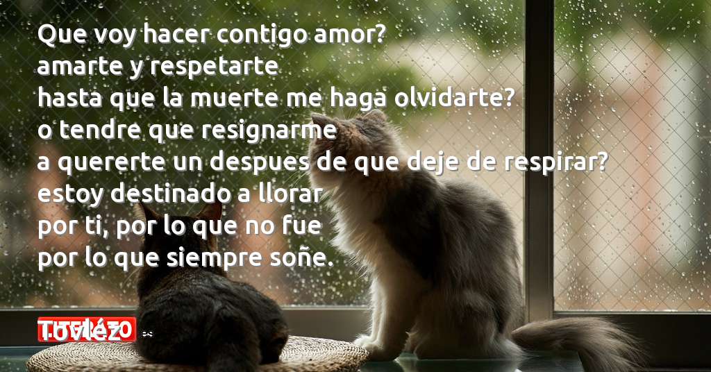 poemas de amor de tovlez