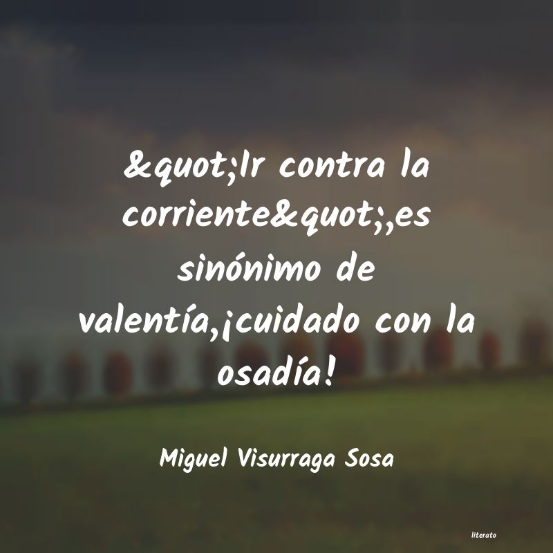 Frases de Miguel Visurraga Sosa