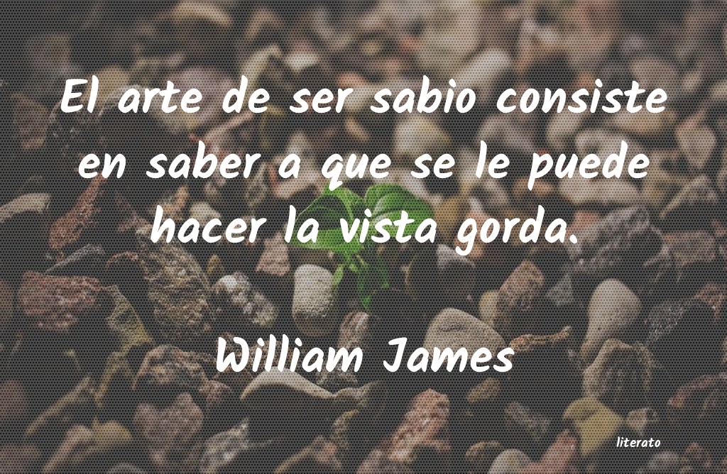 Frases de William James