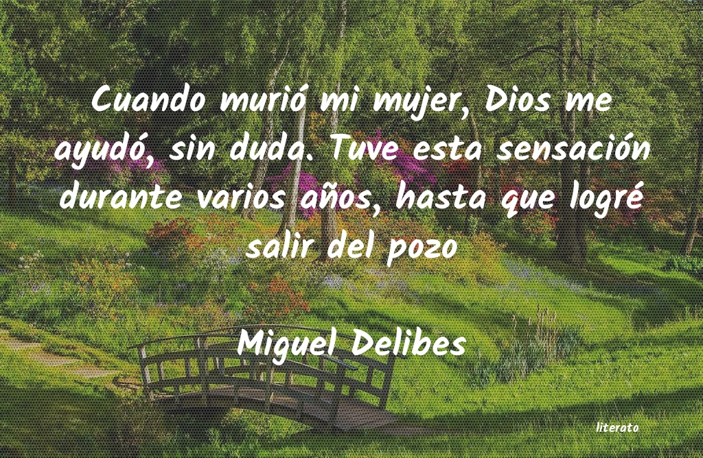 Frases de Miguel Delibes