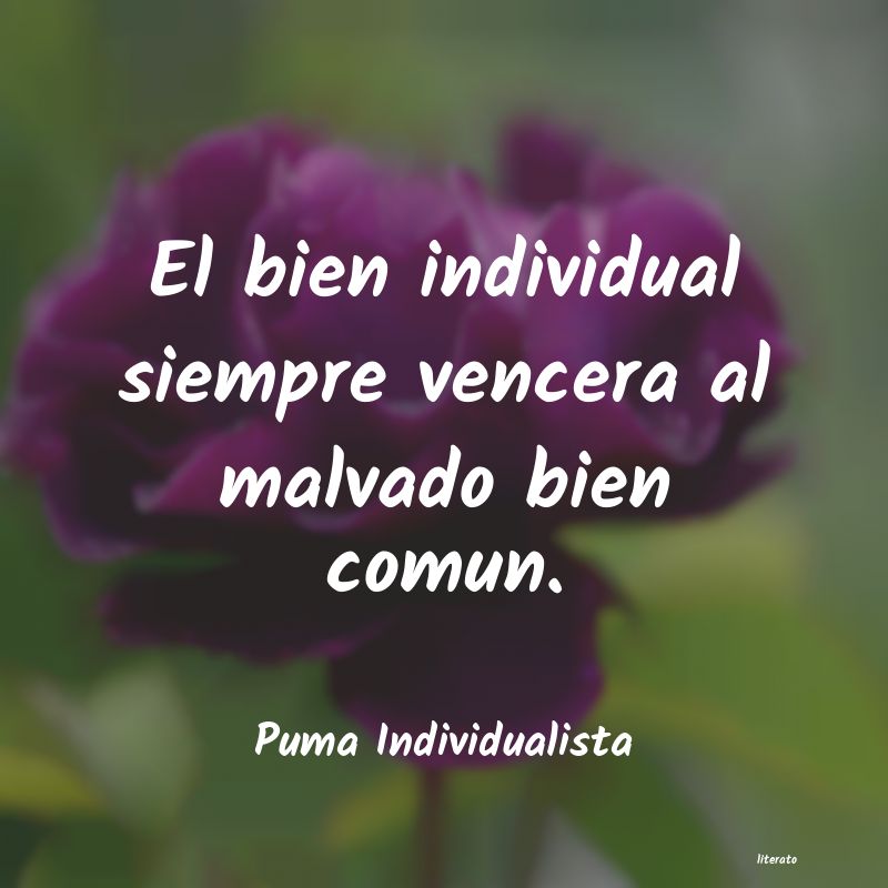 Frases de Puma Individualista