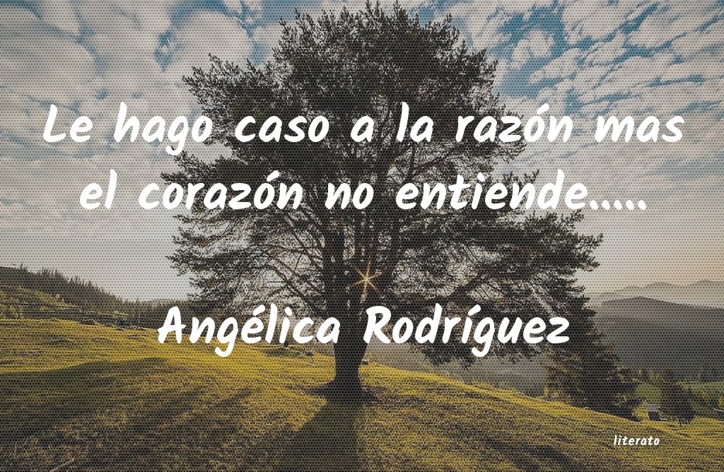 Frases de Angélica Rodríguez