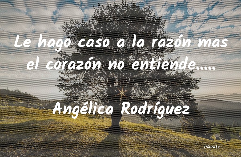 frases de Angélica RodrÃguez