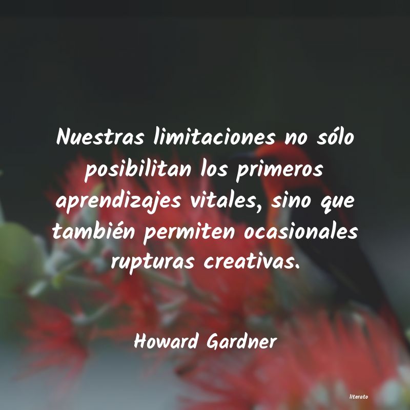 Frases de Howard Gardner
