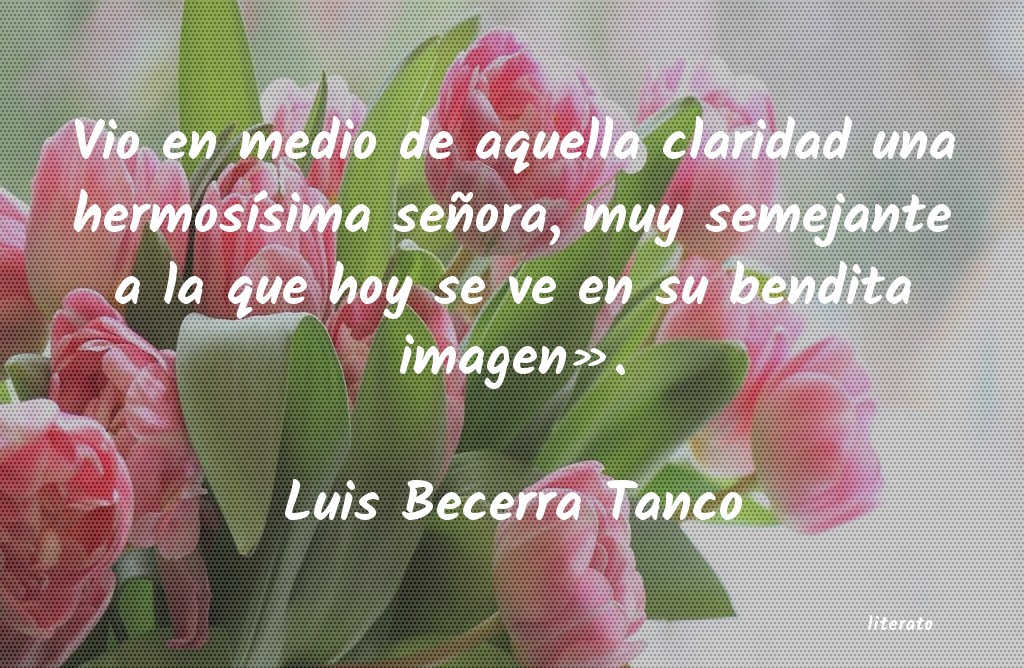 Frases de Luis Becerra Tanco