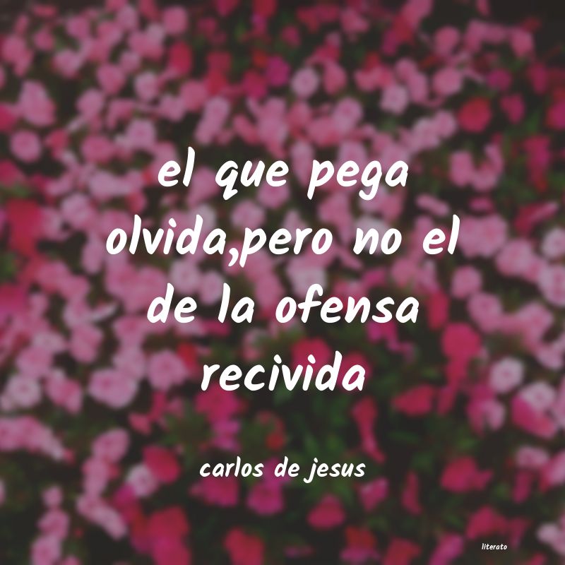 frases de carlos de jesus