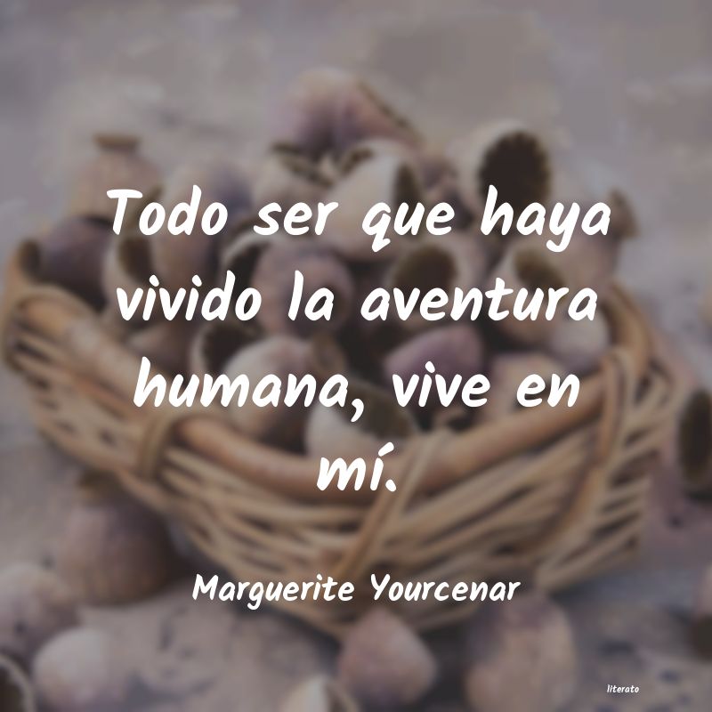 Frases de Marguerite Yourcenar