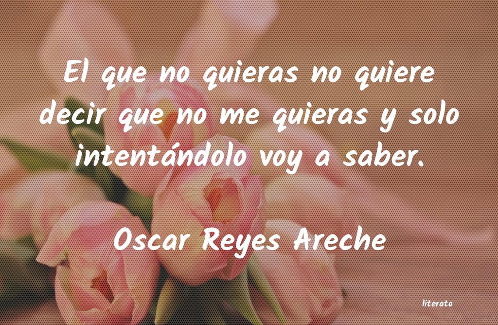 Frases de Oscar Reyes Areche