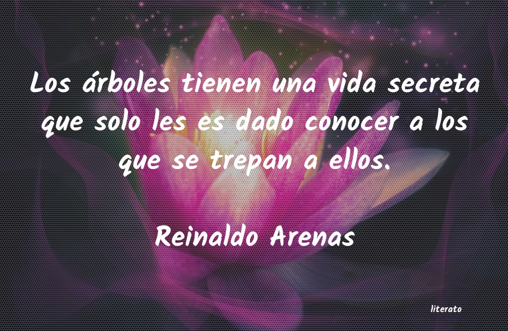 frases de Reinaldo Arenas