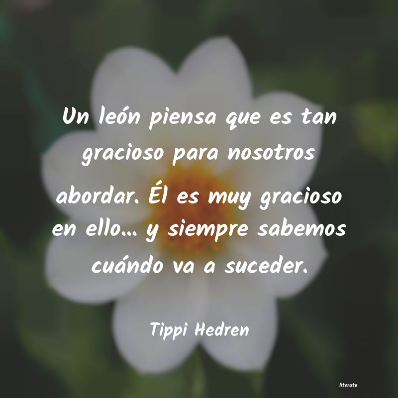 Frases de Tippi Hedren