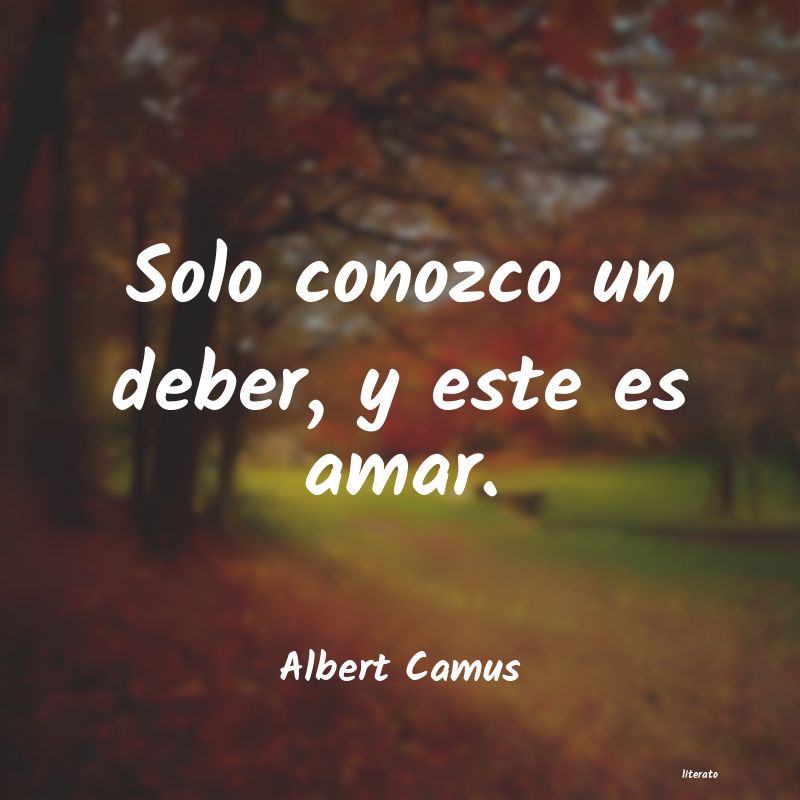 Frases de Albert Camus