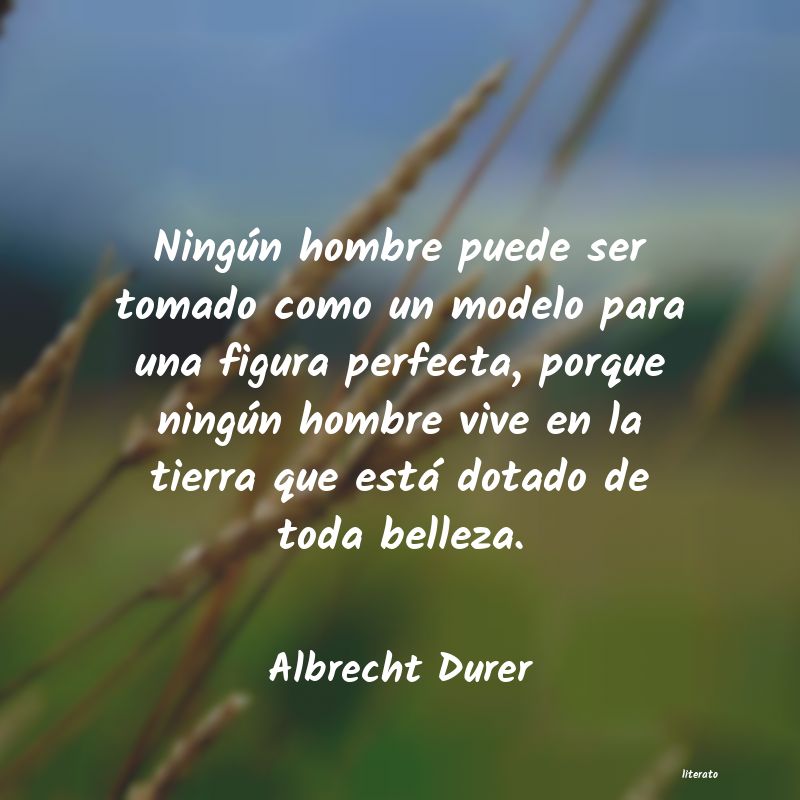 Frases de Albrecht Durer