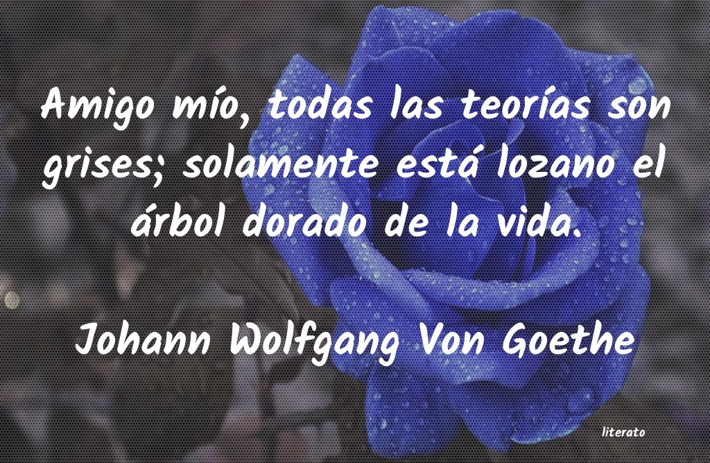 Frases de Johann Wolfgang Von Goethe