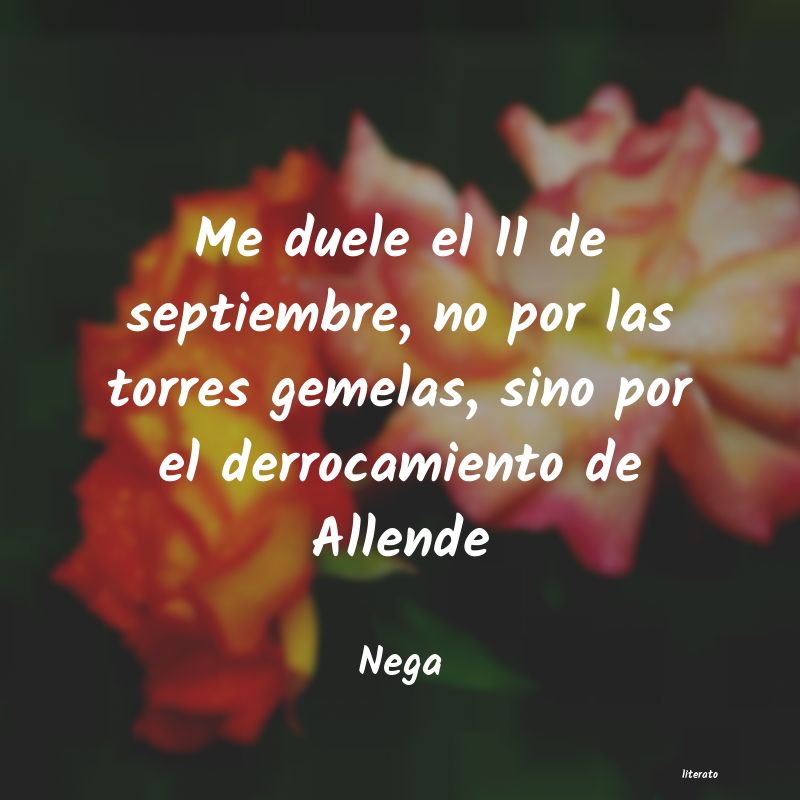 frases de Nega