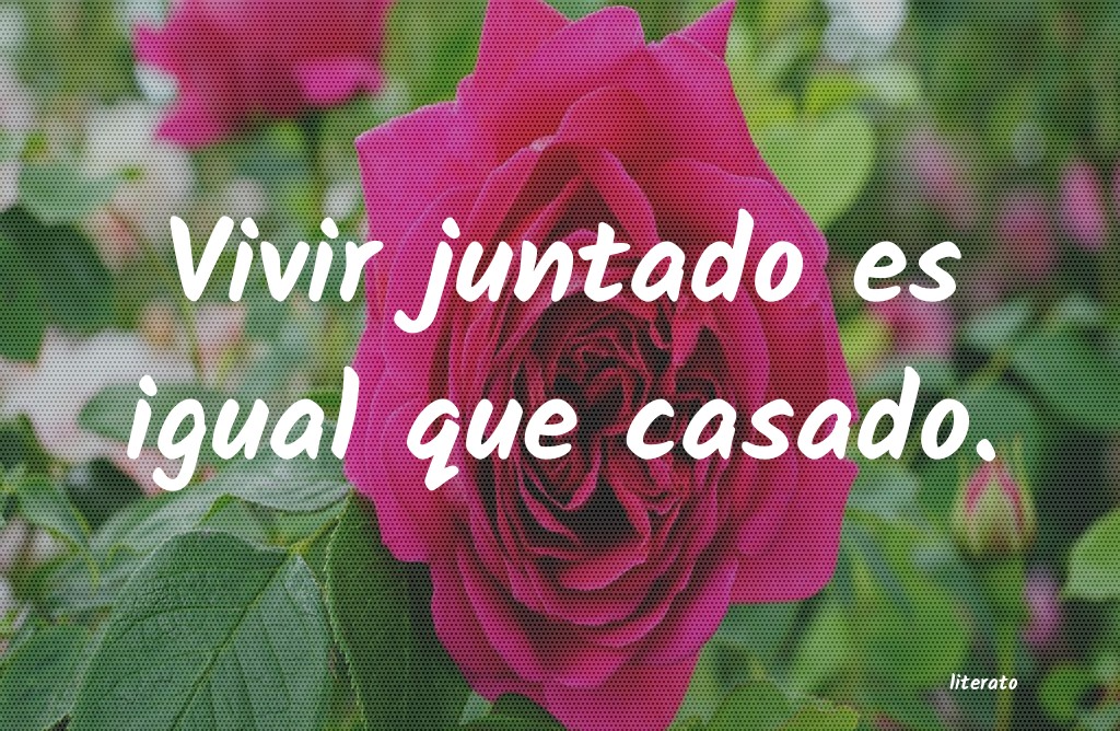 frases