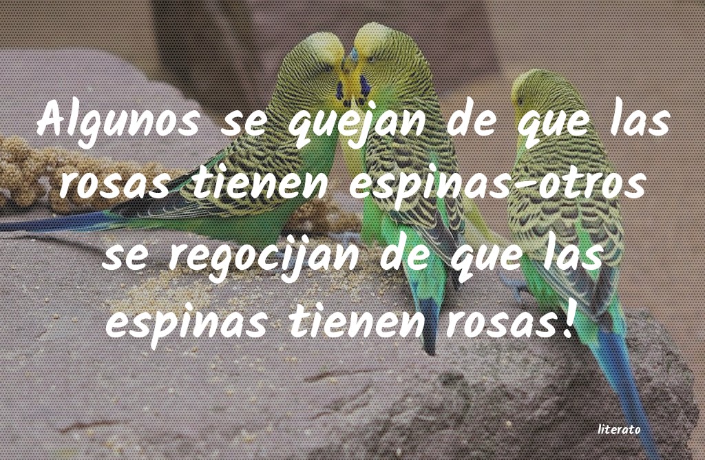 frases