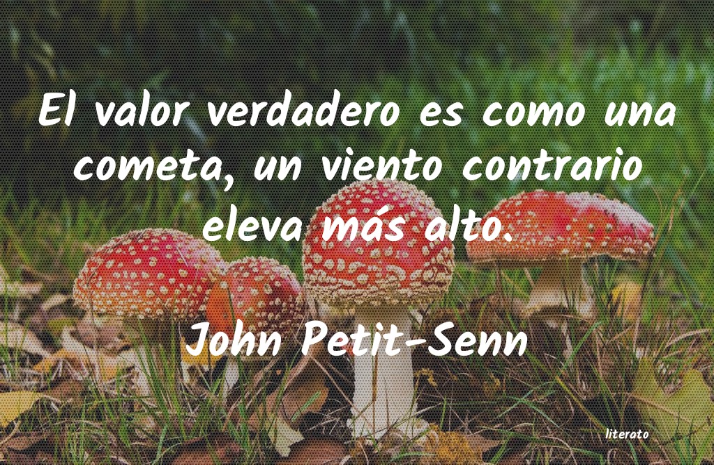 Frases de John Petit-Senn