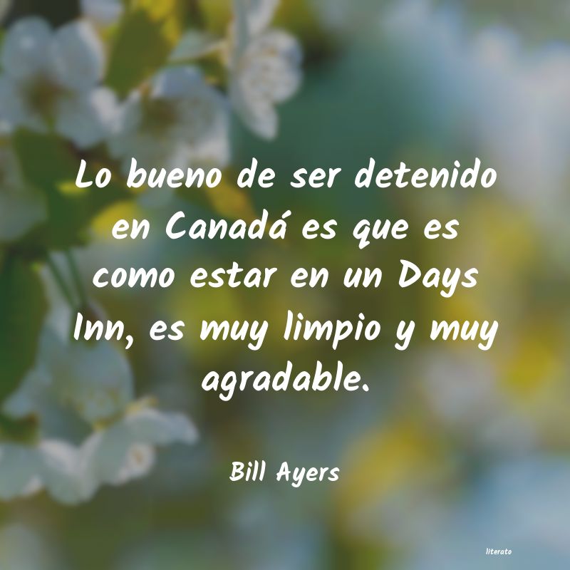 Frases de Bill Ayers