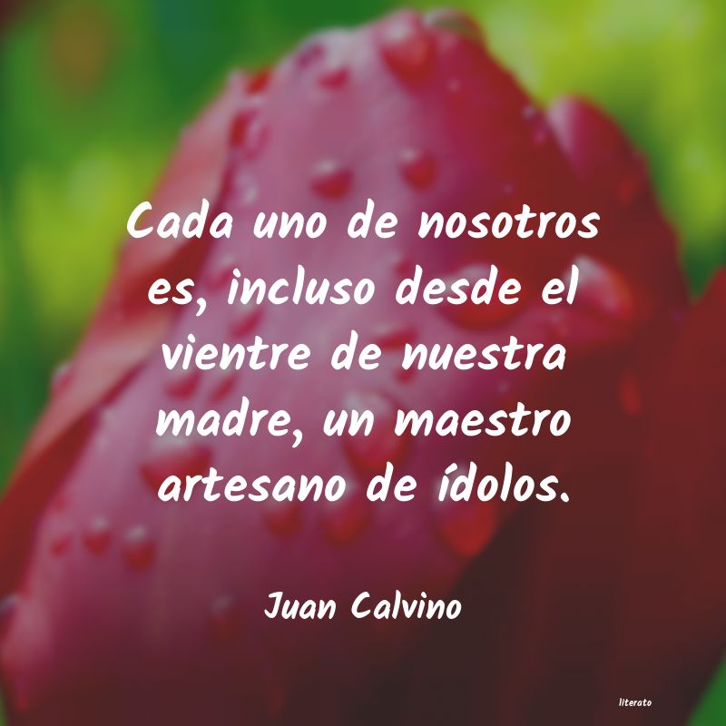 Frases de Juan Calvino