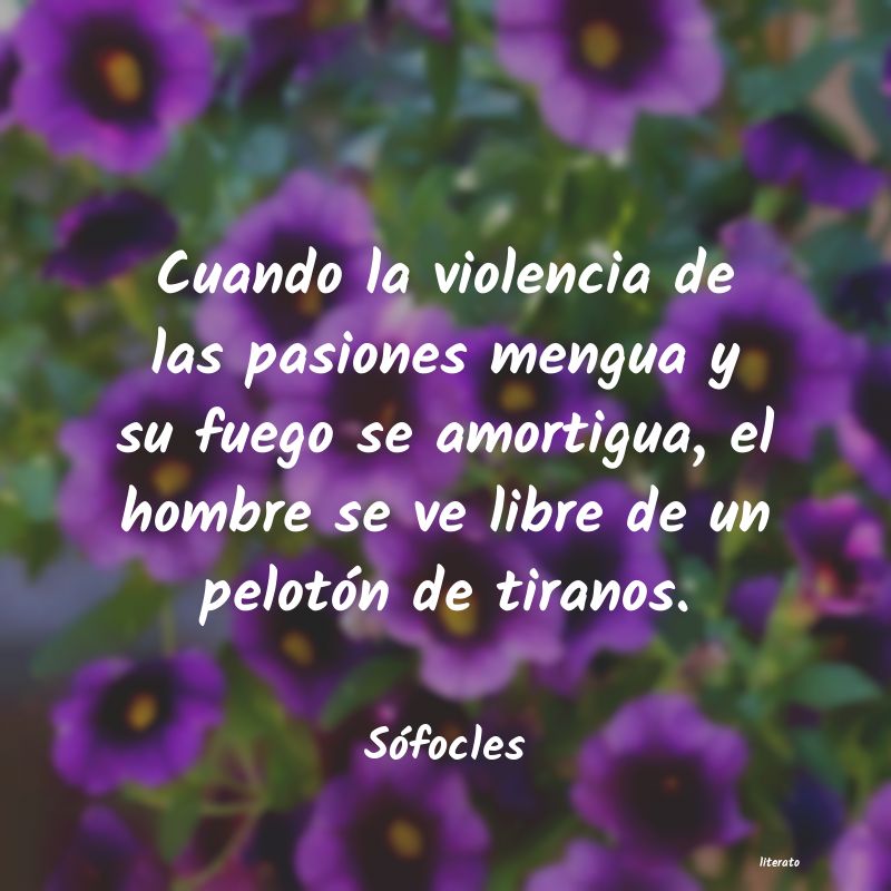 Frases de Sófocles