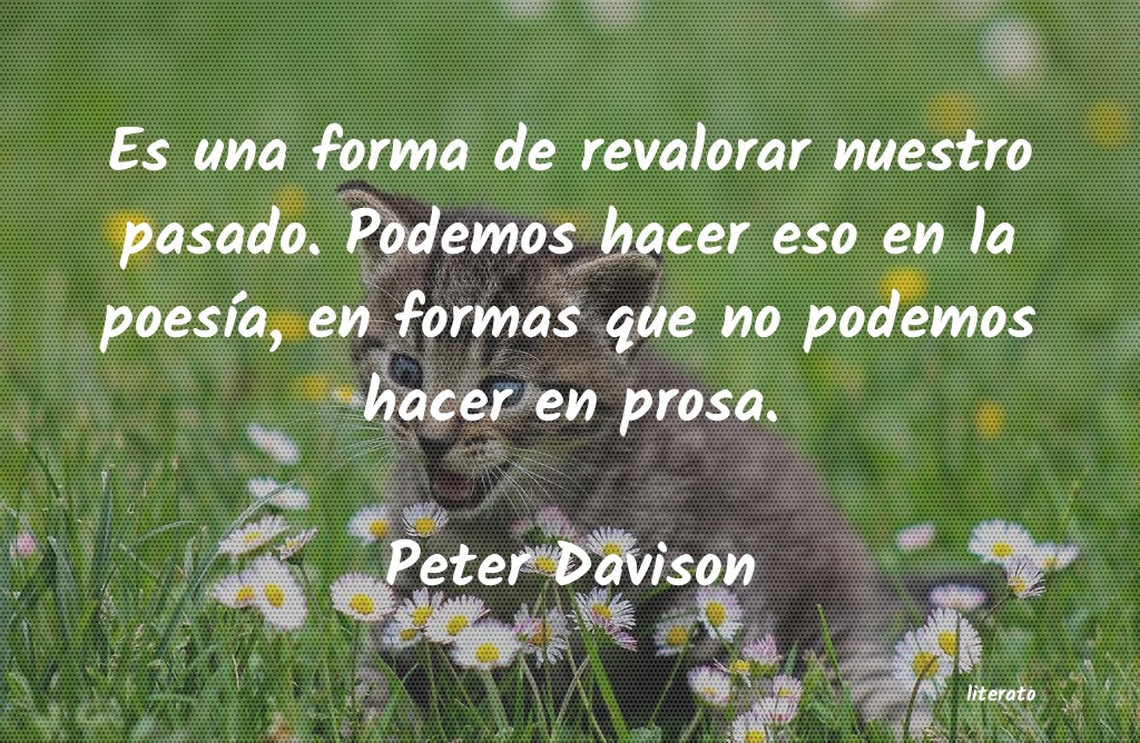 Frases de Peter Davison