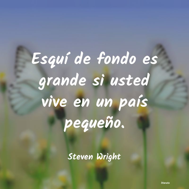 Frases de Steven Wright