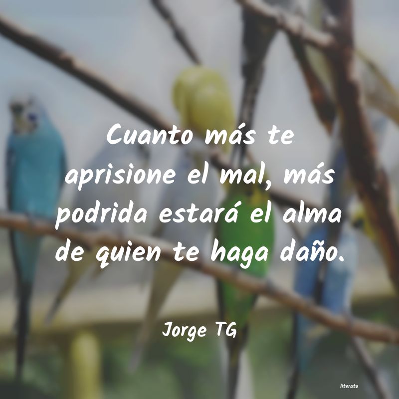 Frases de Jorge TG