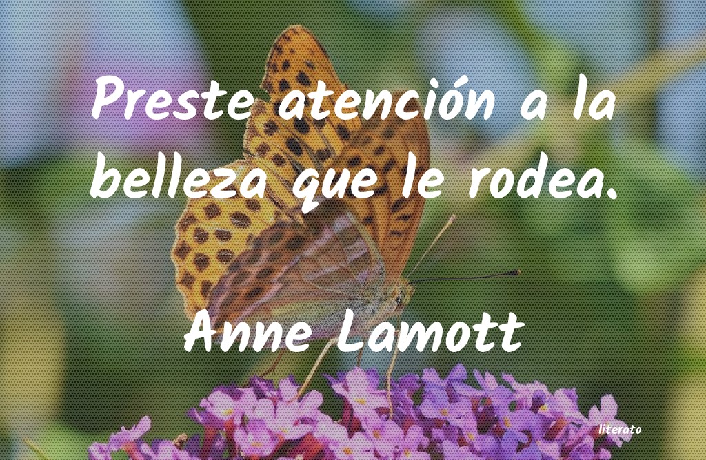 frases de Anne Lamott