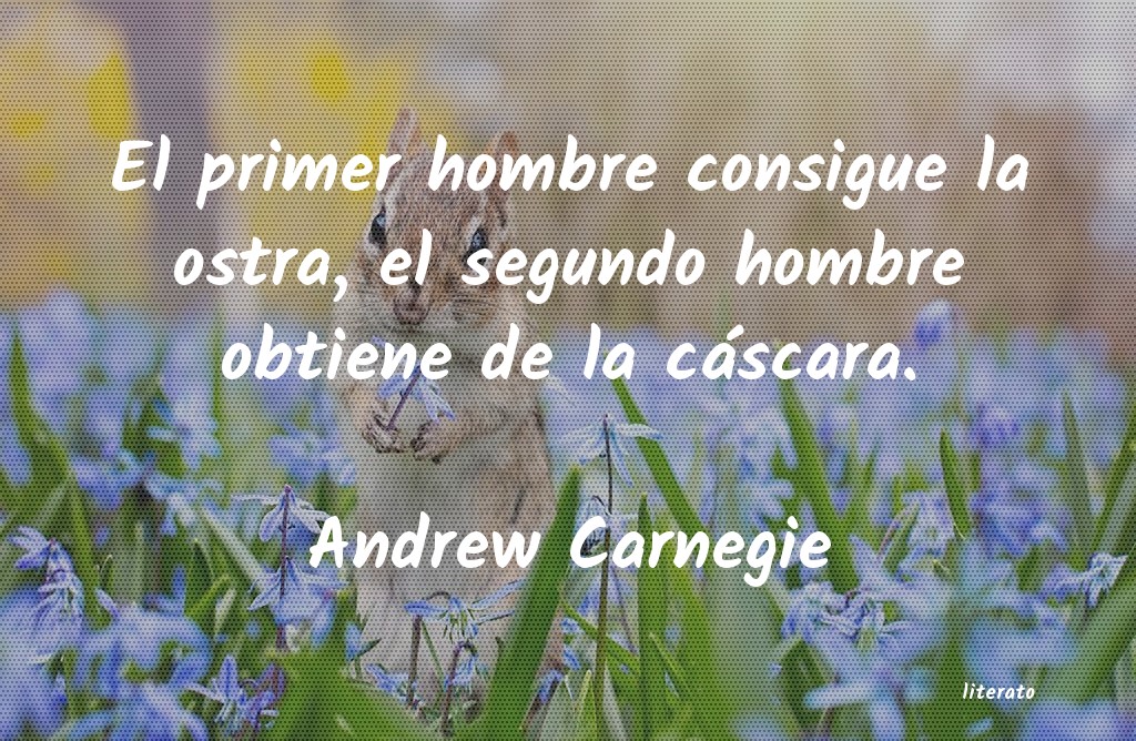 Frases de Andrew Carnegie