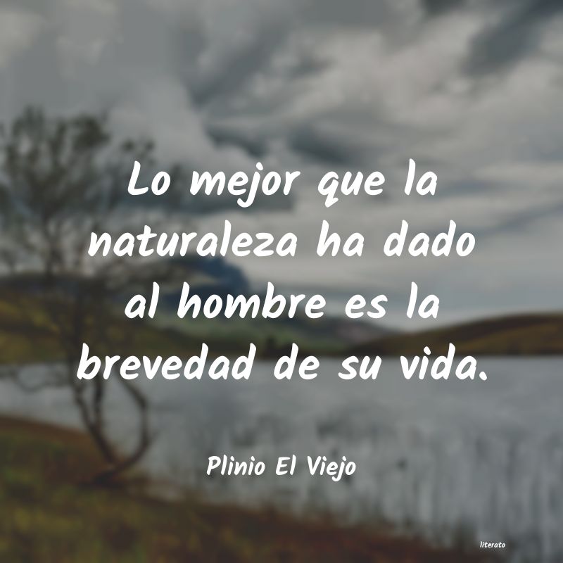 disfruta de la vida frases