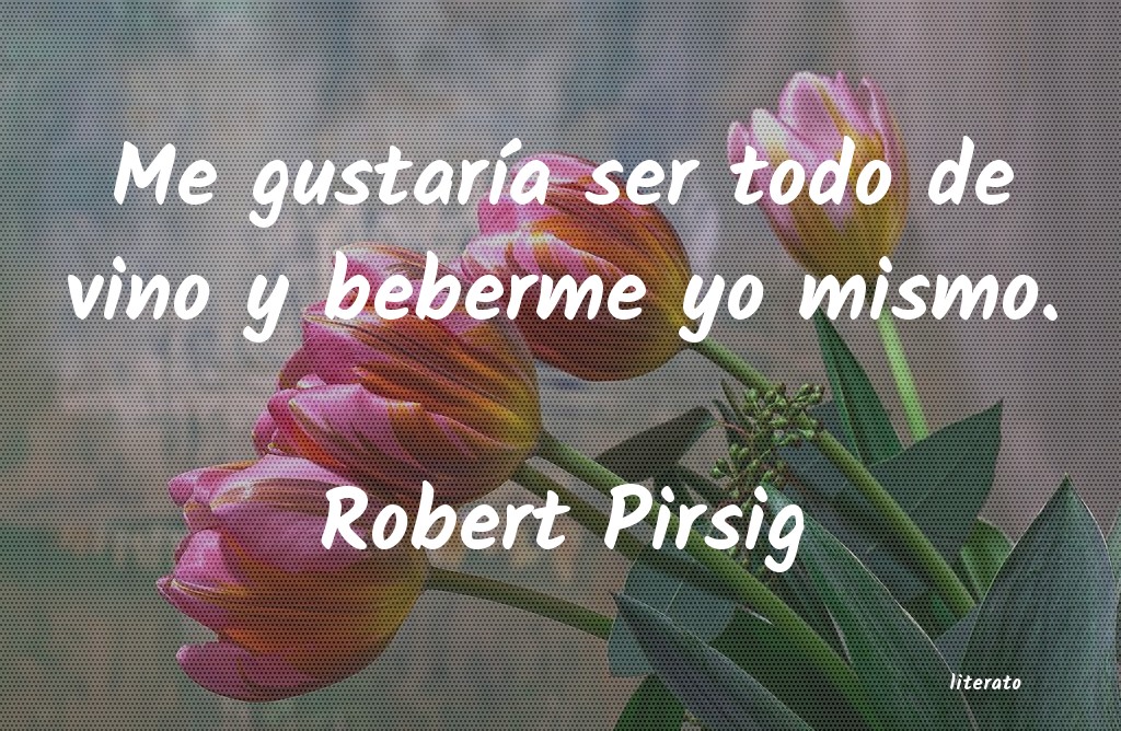 Frases de Robert Pirsig